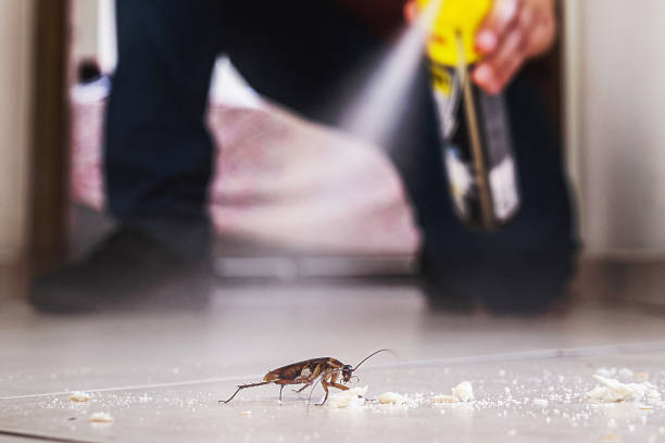 Best Cockroach Control Services  in Cheswick, PA